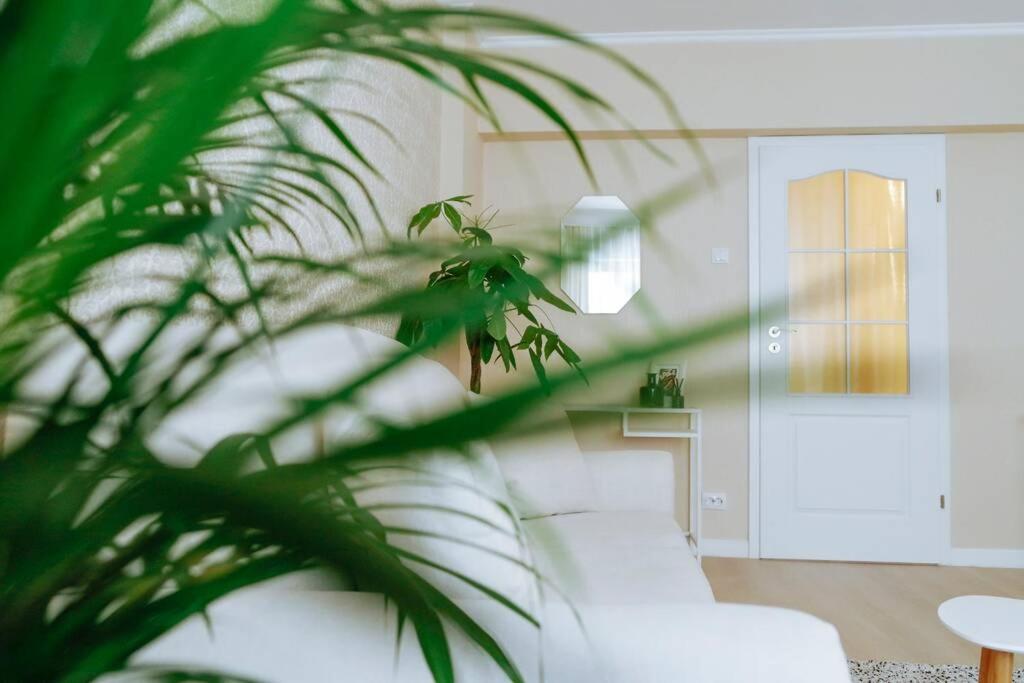 Elegant Vibes Apartment Next To Obor Market Bucarest Exterior foto